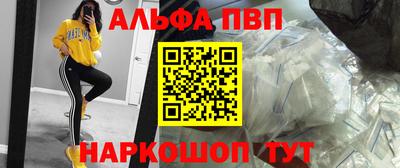 крисы Гудермес
