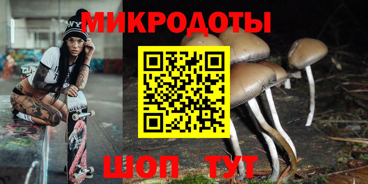 Псилоцибиновые грибы прущие грибы Гатчина