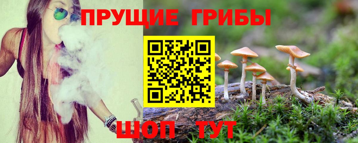 Псилоцибиновые грибы мухоморы  Вход с VPN  Галлюциногенные грибы Psilocybine cubensis  Гатчина 
